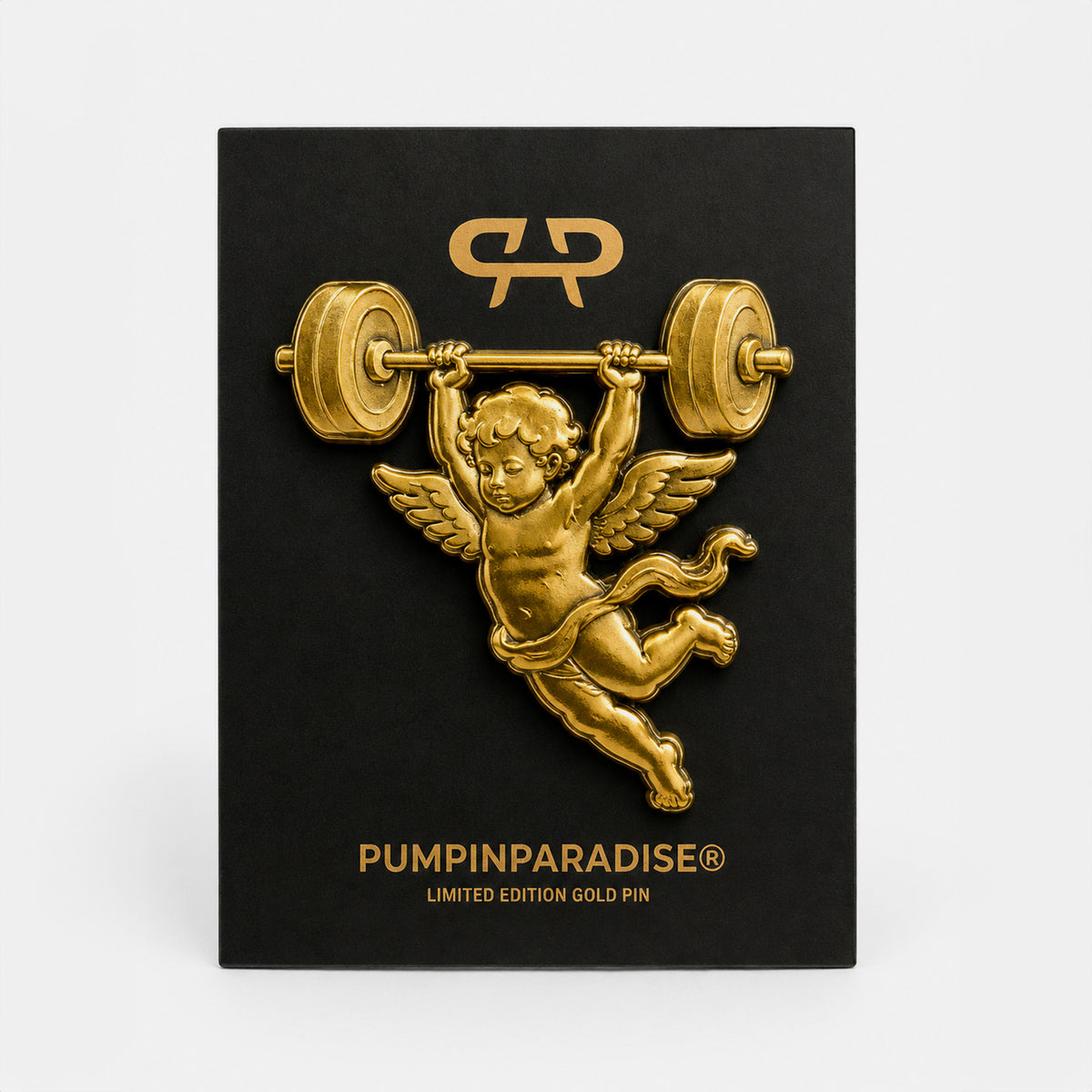 LIFTING TO HEAVEN GOLD PIN